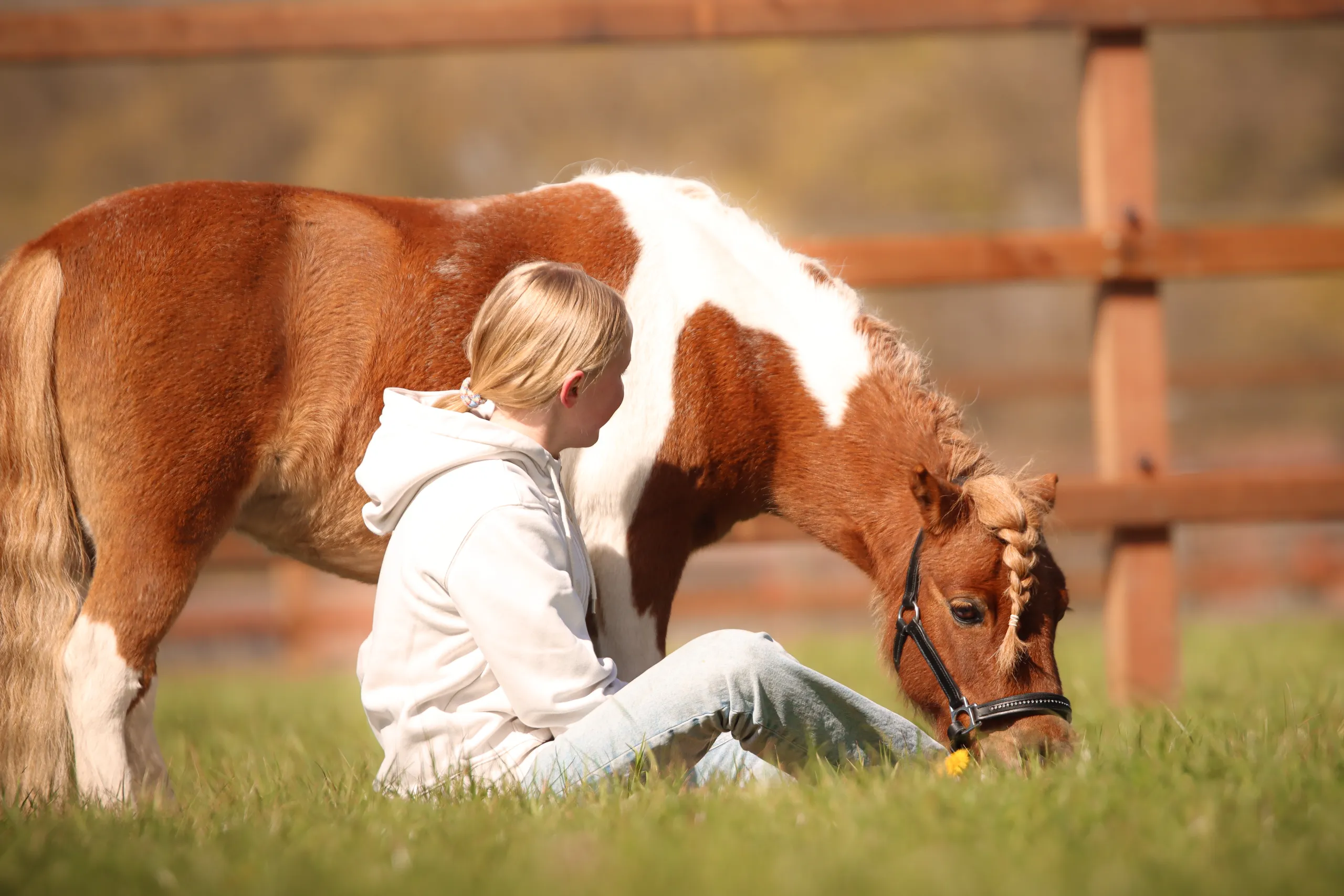 Frau mit Pony auf der Weide