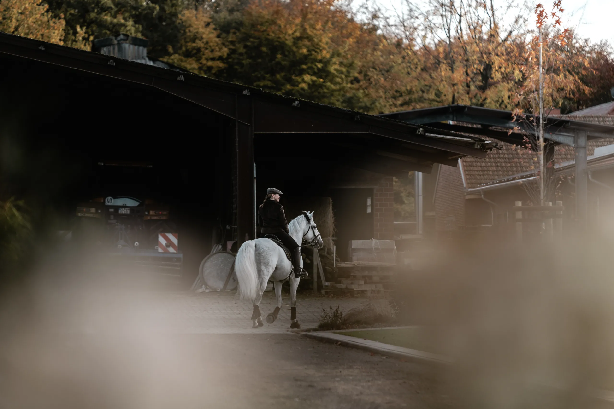 Schimmel im Stall im Herbst